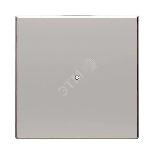 SR-1-85PL Клавиша одинарная free@home, SKY, серебристая