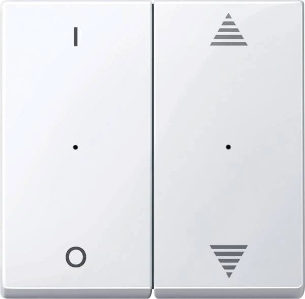SM,КЛ.ДЛЯ МОД 2КН.ВЫК, ВВ/ВН,1/0,АК.БЕЛ