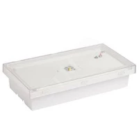 BS-BRIZ-10-L2-24