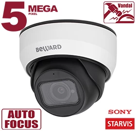 Купольная IP-камера SV3212DZ