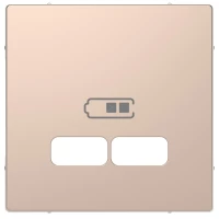 D-Life, ЦЕНТРАЛЬНАЯ НАКЛАДКА для USB механизма 2,1А, ШАМПАНЬ, SD