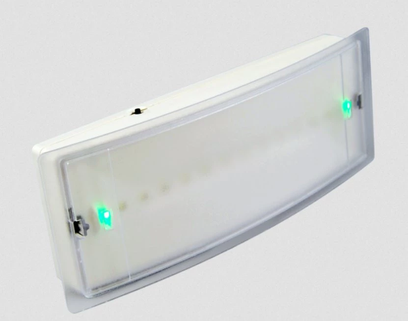 Светильник постоянного/непостоянного горения с Leds, 3 часа, IP40 (GR-2110)