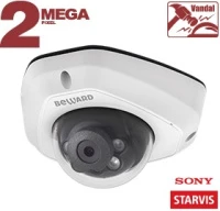 Купольная IP-камера SV2012DM