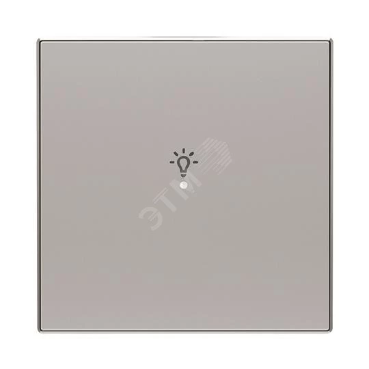 SRL-1-85PL Клавиша одинарная free@home, SKY, освещение, серебристая