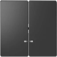 D-Life КЛАВИША 2-ная с линзой для LED модуля, АНТРАЦИТ , SD