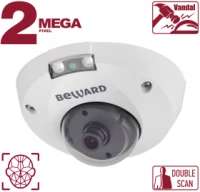 Купольная IP-камера B2530DMR