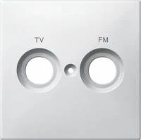 ЦЕНТ.ПЛАТА С МАРКИРОВКОЙ TV+FM, БЕЛЫЙ