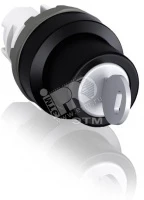 Переключатель M2SSK2-104 с ключом 2-х позиционный (только корпус ) 45# (ключ уникальный 25 вариантов - достается в среднем положении