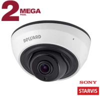 Купольная IP-камера SV2005DR