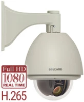 Купольная IP-камера B85-20H2