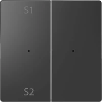 D-Life PlusLink КЛАВИША 2-ная с S1/S2, пусто, АНТРАЦИТ, SD