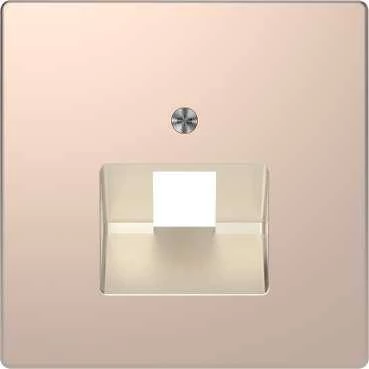 D-Life ЦЕНТРАЛЬНАЯ НАКЛАДКА для розетки 1-ной RJ45, ШАМПАНЬ , SD