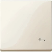 КЛАВИША С ПИКТОГРАММОЙ «КЛЮЧ» АЛЮМ MTN3303-0344
